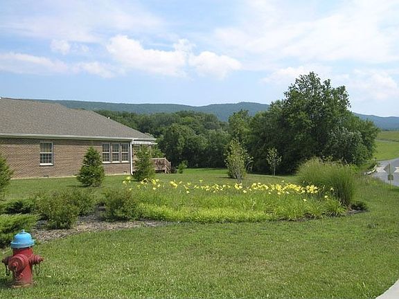 Looking South to Creek