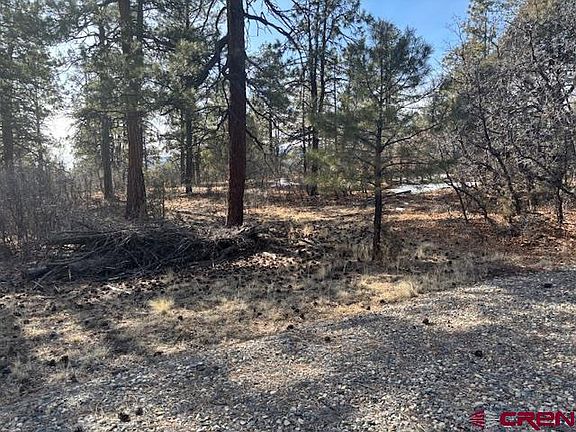4th image of 2308 Bull Elk Place