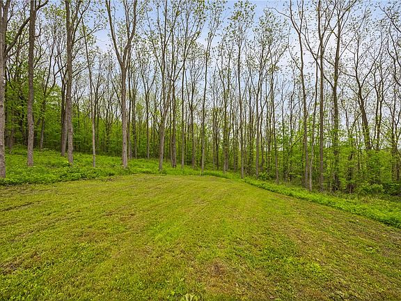 2nd image of 9380 Big Tree Rd Lot 14