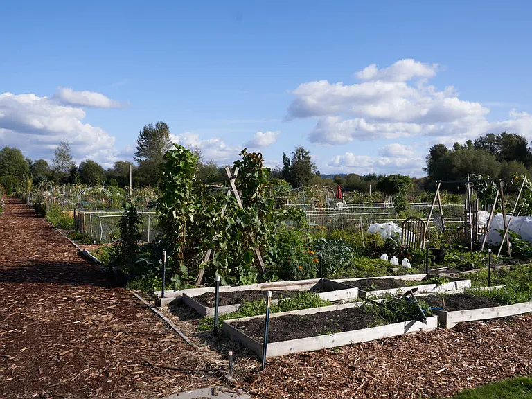 Enjoy Downtown Redmond's community gardens and outdoor spaces.