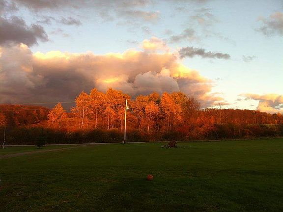 Facing road view across stre