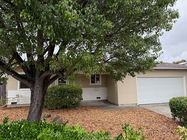 Front yard and entry