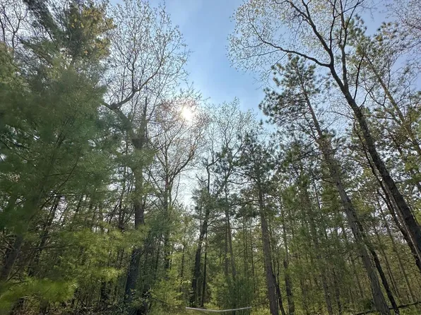 0 Camp Rd, Manistee, MI 49660