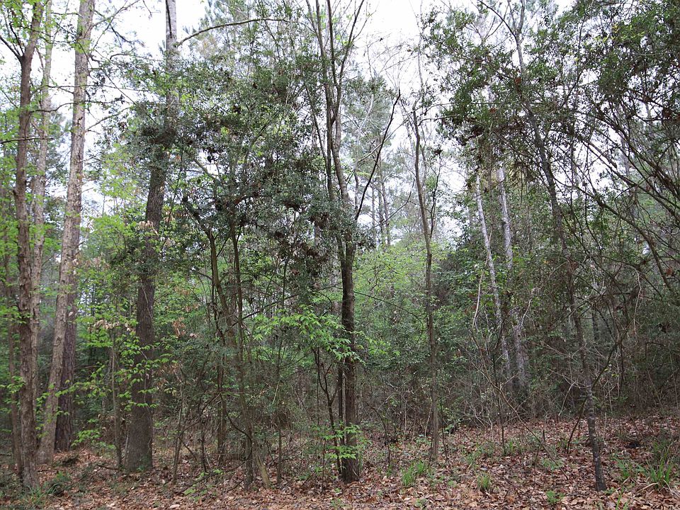 1st image of County Road 3160