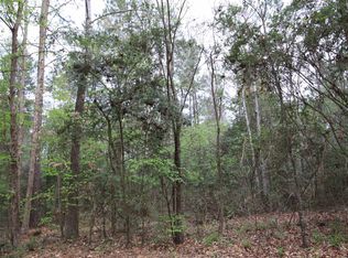 County Road 3160, Colmesneil, TX 75938