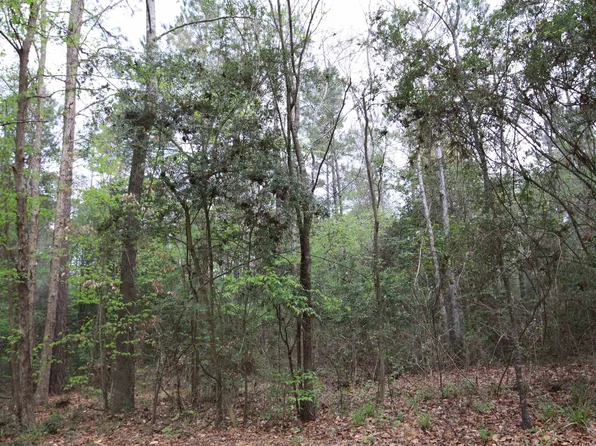 County Road 3160, Colmesneil, TX 75938