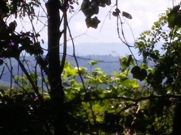 Distance view of property se