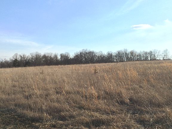 upper field