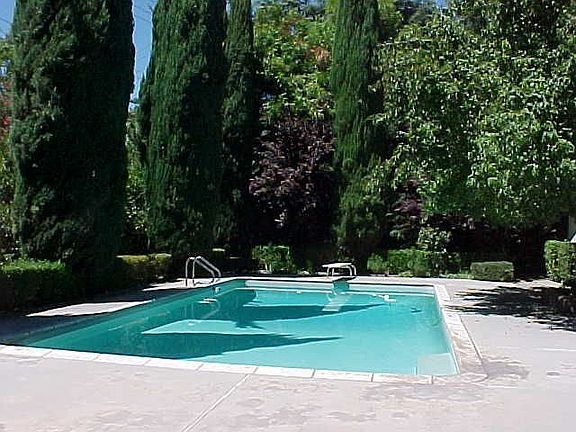 Back- No Current Image