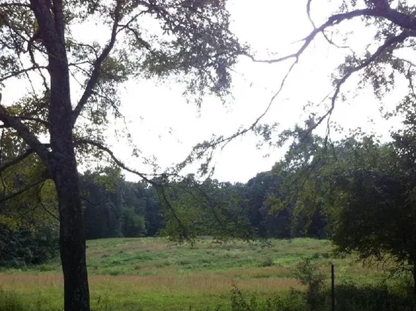 1606 Bunn School Rd, Henry, TN 38231