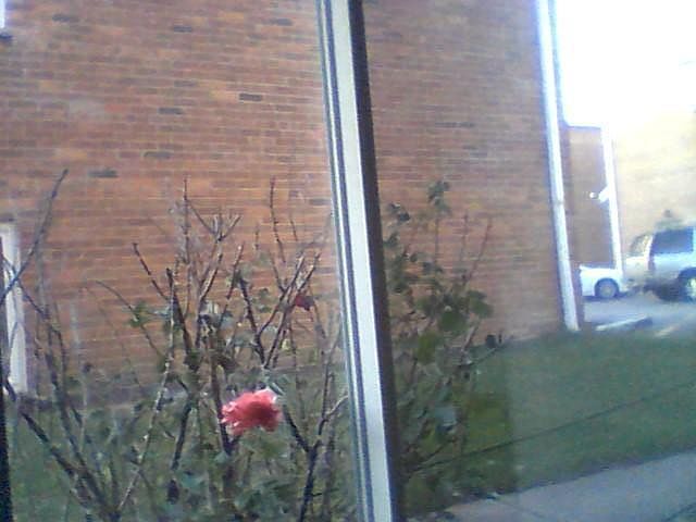 1st image of 9226 W Sally Ln #2