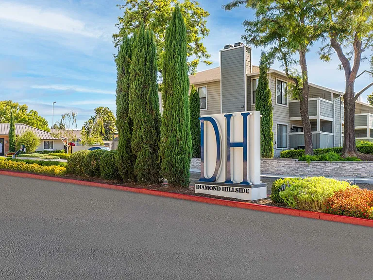 Diamond Hillside — Photo 29