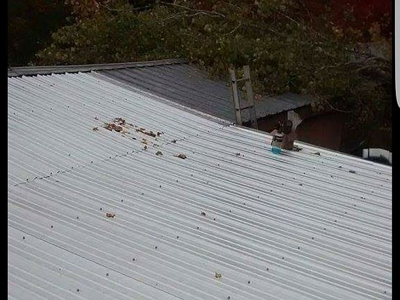 New roof