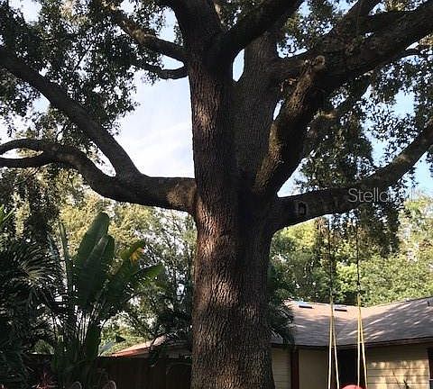 4th image of 7911 Richwood Dr