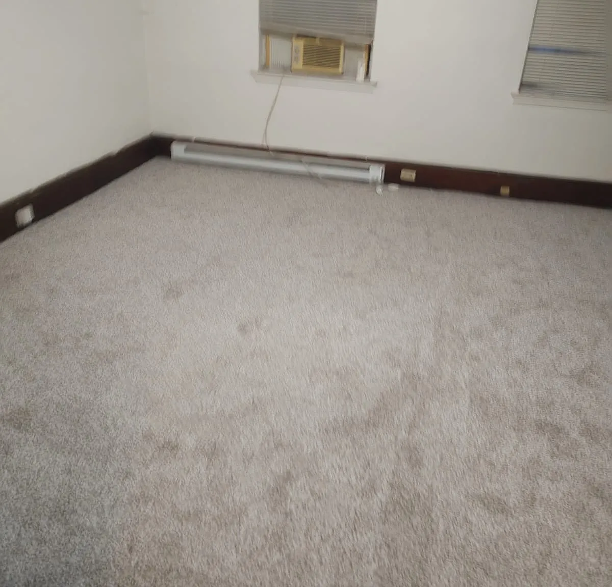 2 bed, 1100 sqft, $1,100 — Photo 4
