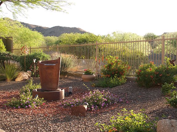 Backyard looking NE