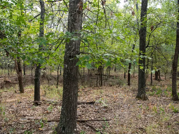 670 Oak Cove Ct, Bowie, TX 76230