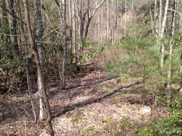 65 Widgeon Way, Whittier, NC 28789