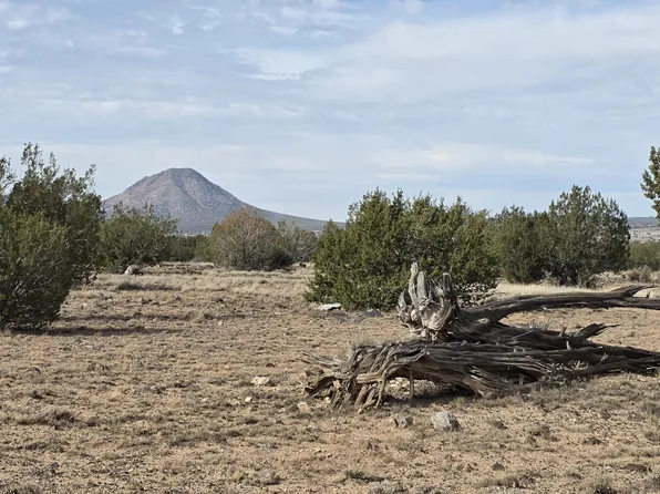 245 E Antelope Run Rd, Paulden, AZ 86334