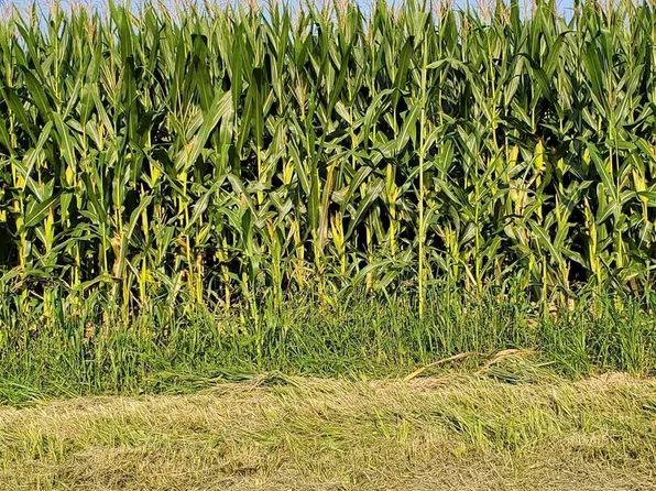 0 N Mill St, Carrier Mills, IL 62917