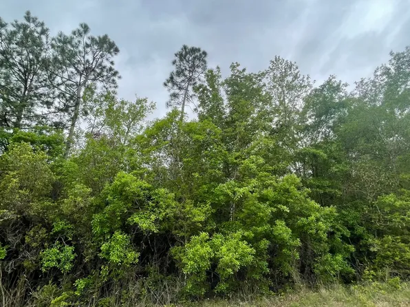 Lobouy Rd, Pass Christian, MS 39571