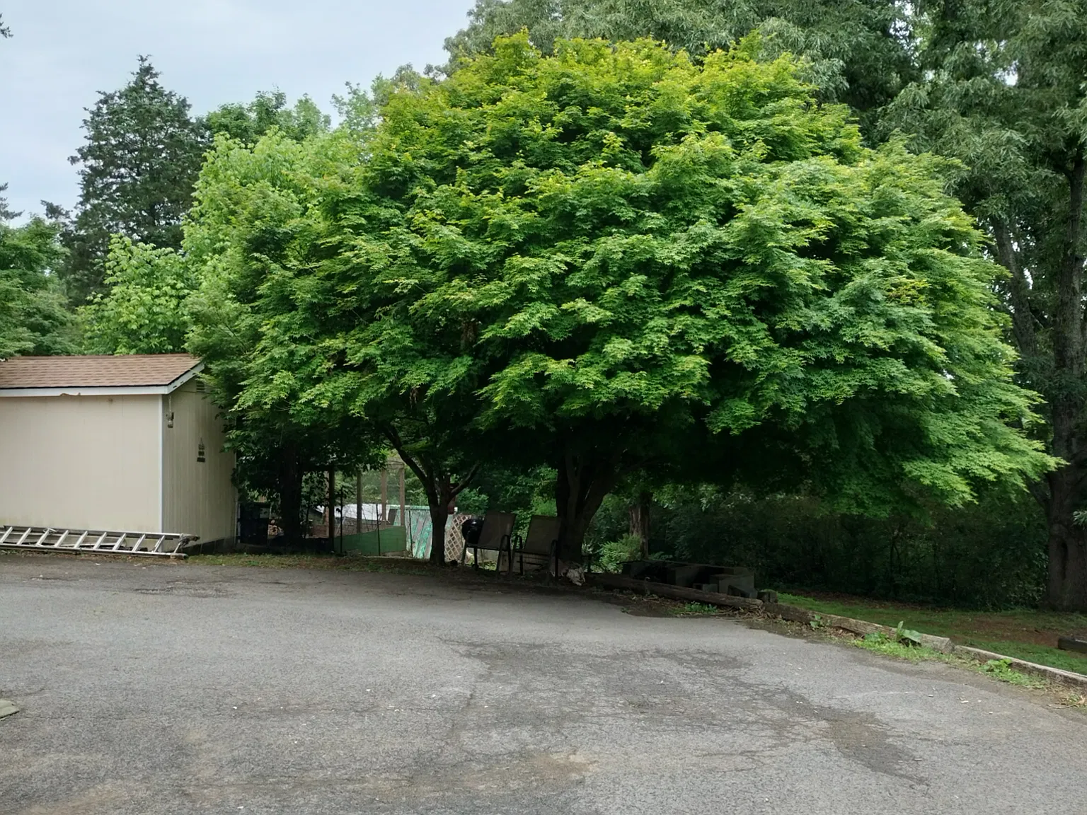 3 bed, 1100 sqft, $1,900 — Photo 2