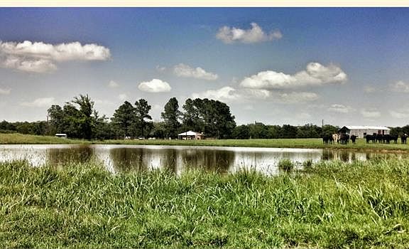 2nd image of 750 Vz County Road 3104