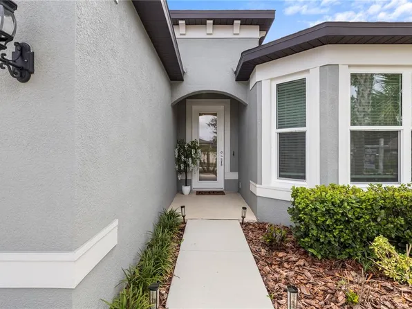 783 LITTLE CLOUD PLACE, VALRICO, FL 33594