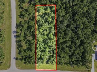 294 Iron Horse Rd, Willis, TX 77378