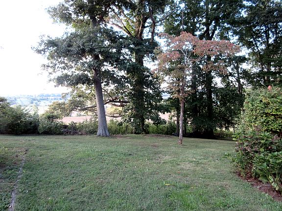 5th image of 233 Bart Green Dr