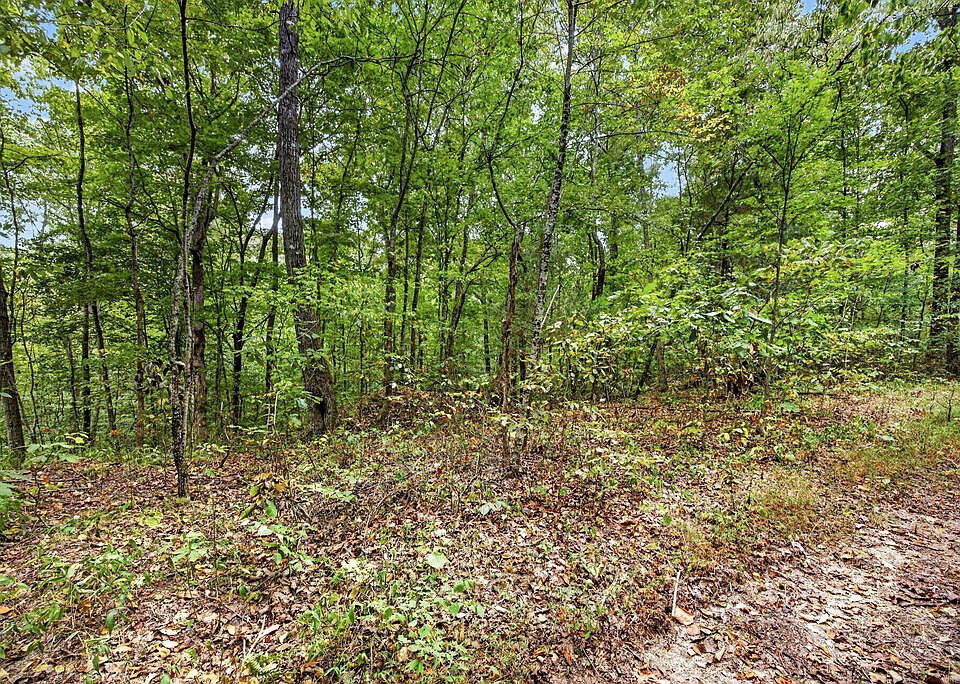 1st image of 24 Timber Ridge Ln #Phase Ii
