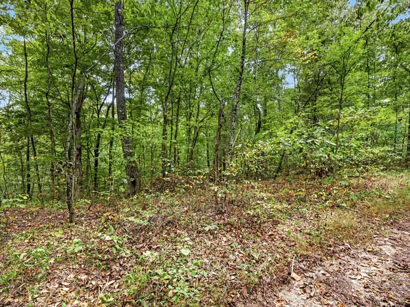 24 Timber Ridge Ln #Phase Ii, Celina, TN 38551