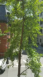 Rented by Keller Williams NYC