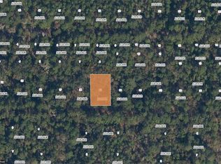 214 Mandarin Ave #29, Georgetown, FL 32139