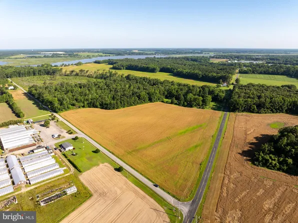 4516 Frazier Neck Rd, Preston, MD 21655