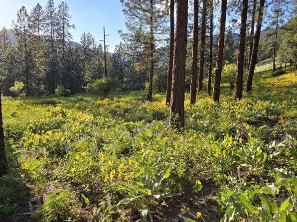 Nhn Profile Rock Dr, Alberton, MT 59820