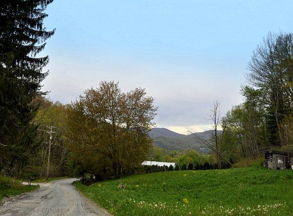 2nd image of 261 Tumbling Brook Dr