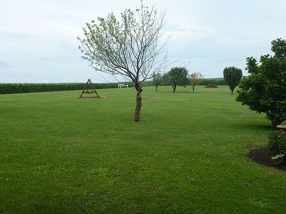 Acreage-firepit and trees