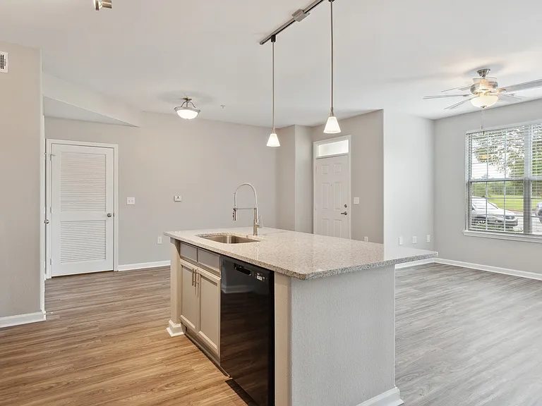 Newly Renovated Kitchen
