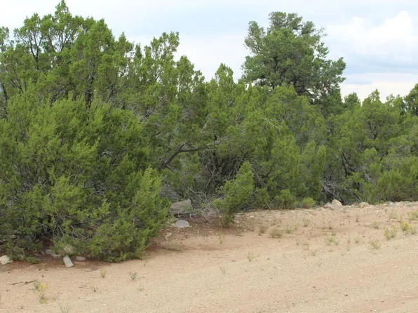 250 Five Hills Dr, Tijeras, NM 87059