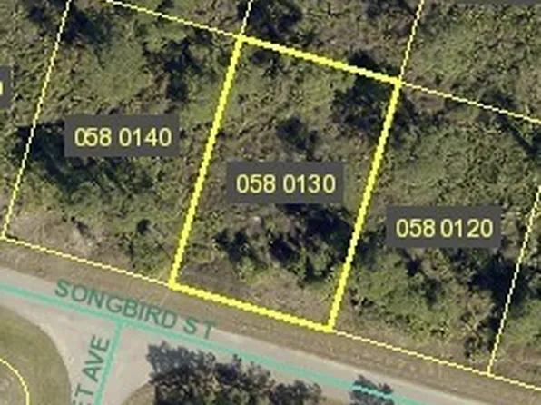 1245 Songbird St, Fort Myers, FL 33913