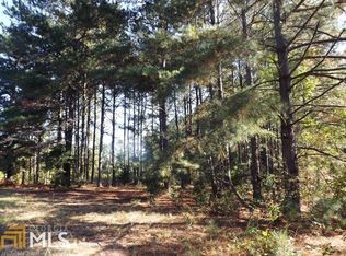 573 Painters Rd, Sylvania, GA 30467