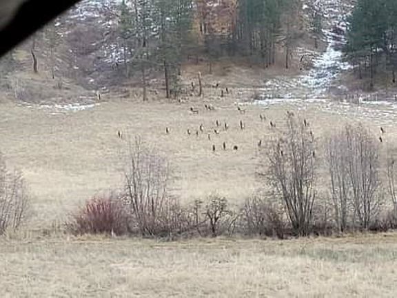 5th image of 6066 Turk Rd