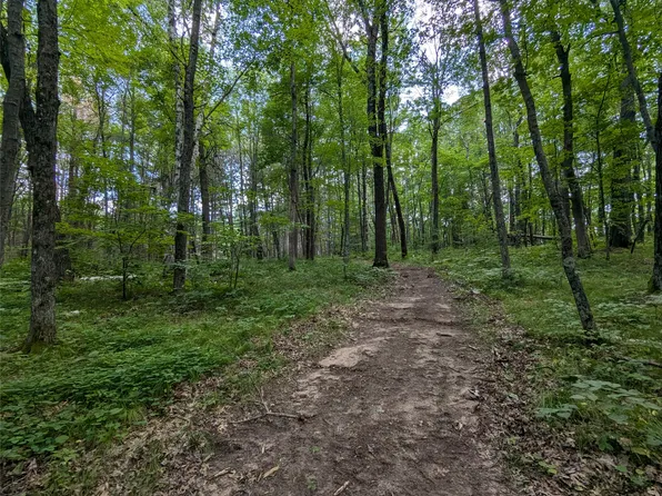 Lot 2 Fosmo Drive, Webster, WI 54893