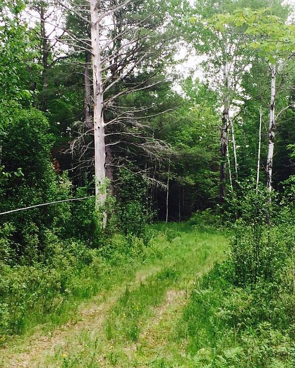 1st image of 16125 S Mackinac Trl