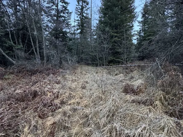 Nicholson Rd, Elk, WA 99009