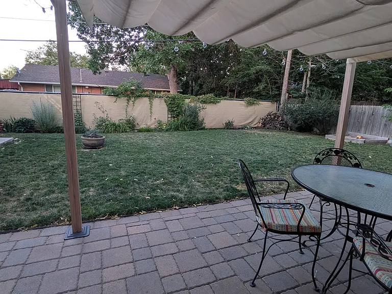 Back yard