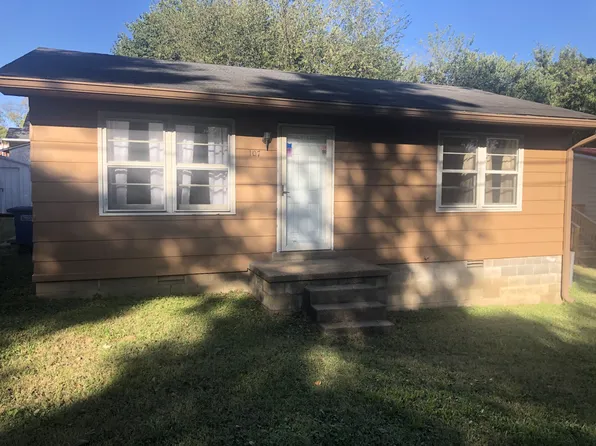 107 Brownlow St, Mount Pleasant, TN 38474