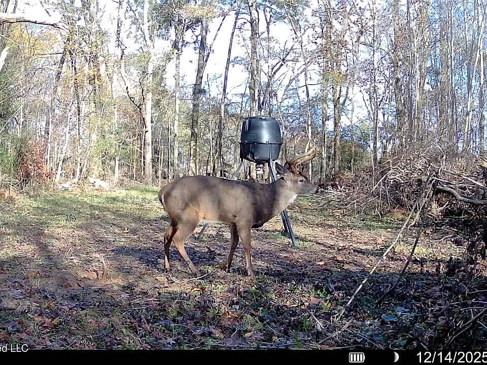 1st image of 1 Butler Rd