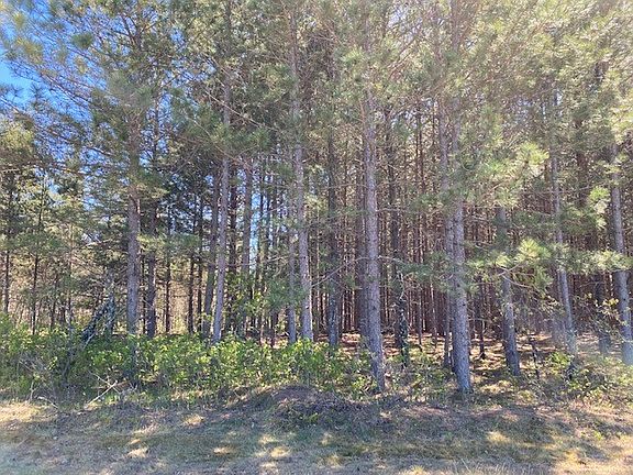5th image of N14075 Three Mile Road